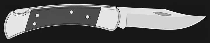 Illustration of the Buck 110 Folding Hunter